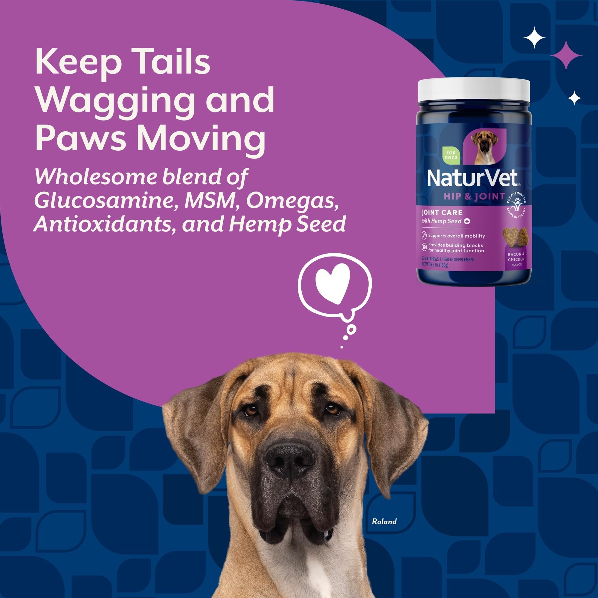 NaturVet chien en mouvement – soutien articulaire lors de l'exercice.