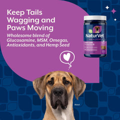 NaturVet chien en mouvement – soutien articulaire lors de l'exercice.