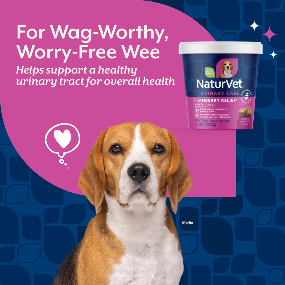 NaturVet Cranberry Relief Plus Echinacea: emballage sans gluten pour chiens sensibles.