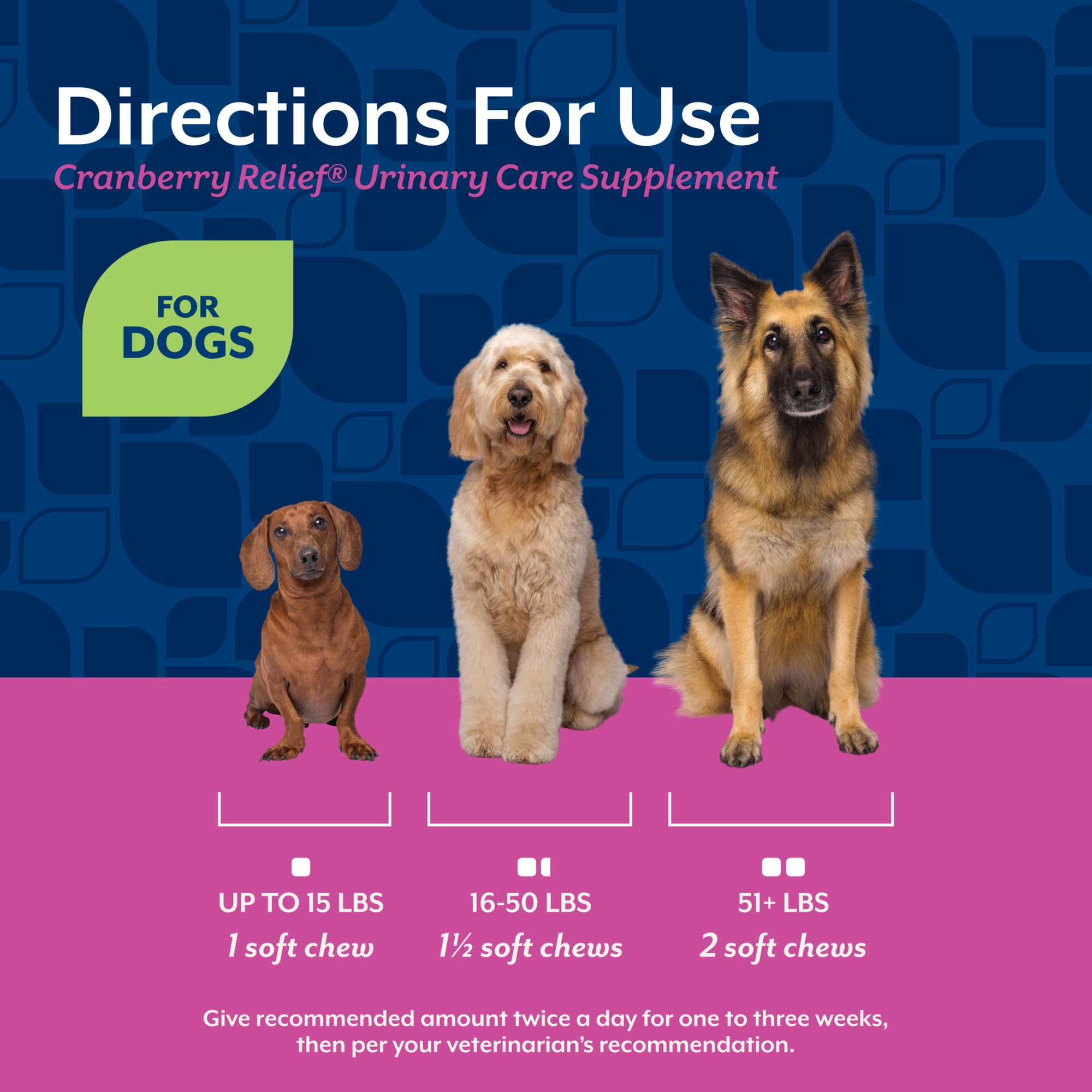 NaturVet Cranberry Relief Plus Echinacea: ingrédients naturels, canneberge et échinacée.