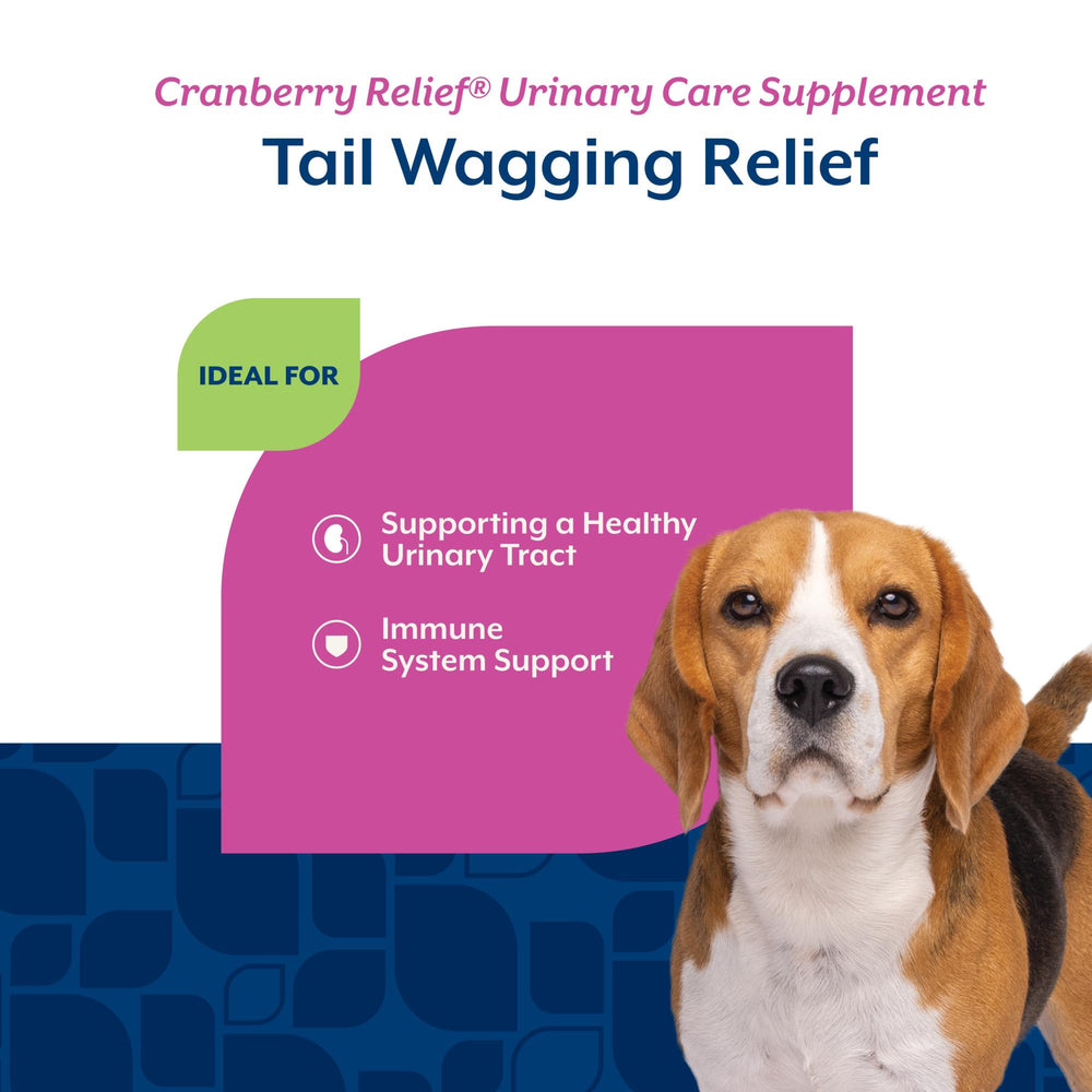 NaturVet Cranberry Relief Plus Echinacea: étiquette claire avec dosage recommandé.