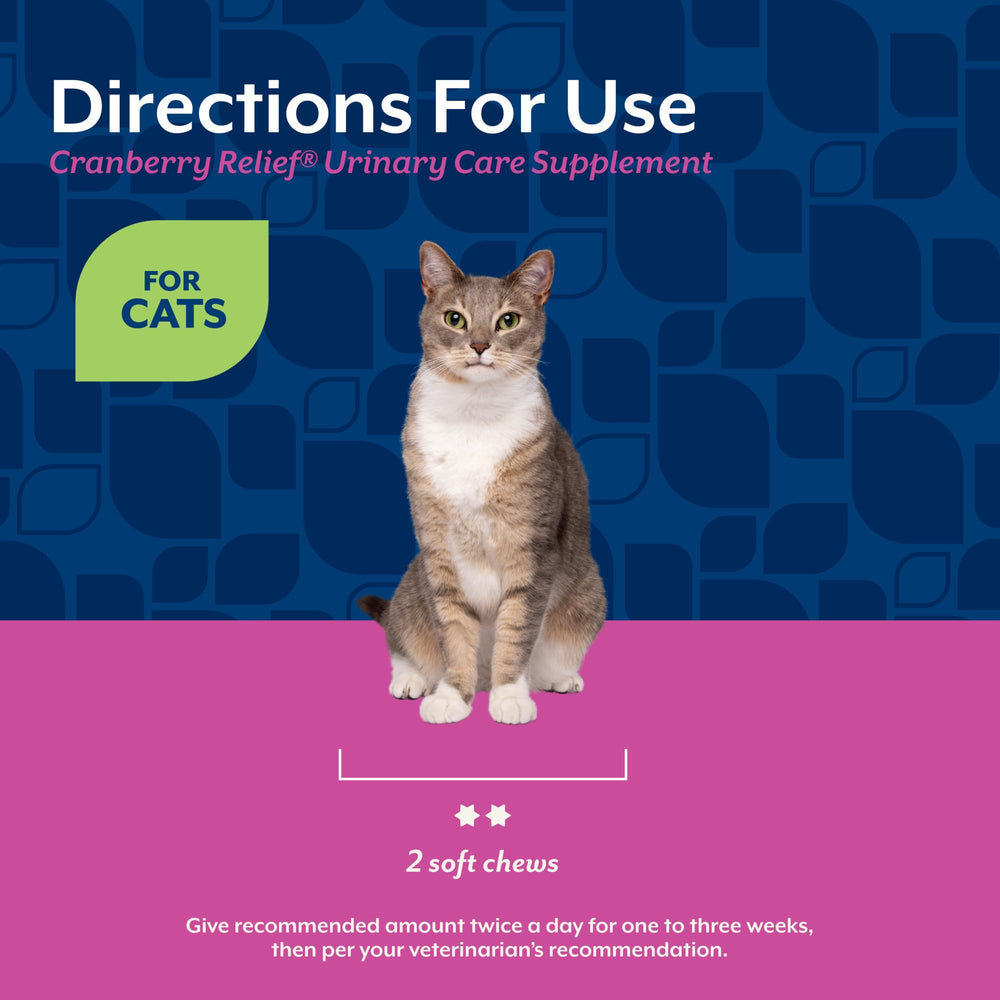 NaturVet Cranberry Relief Plus Echinacea pour chats — utilisation quotidienne simple et sûre