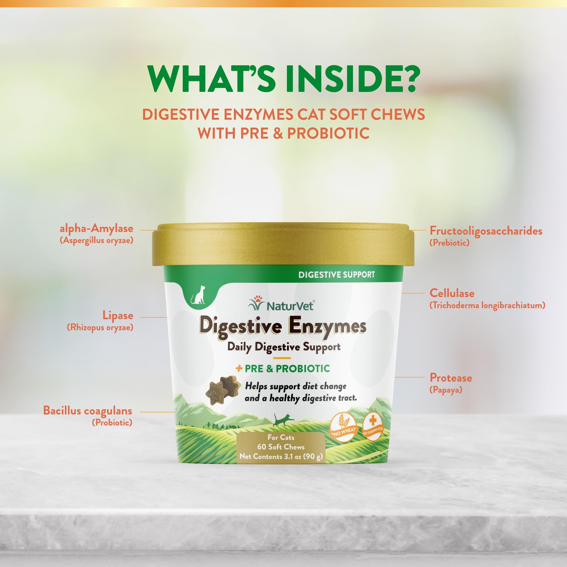 NaturVet Digestive Enzymes Plus Probiotic, dose quotidienne, soutien potentiel pendant le changement alimentaire.