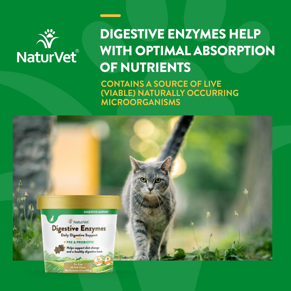 NaturVet Digestive Enzymes Plus Probiotic, friandises digestives, faciles à distribuer.