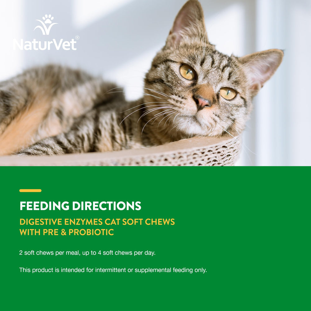 NaturVet Digestive Enzymes Plus Probiotic, bouchées tout-en-un, associe enzymes et probiotiques.