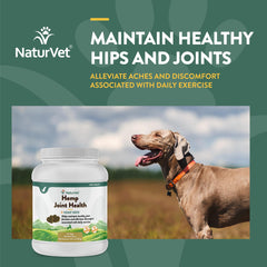 NaturVet donner une friandise au chien, favorisant une posture et mobilité après l’exercice.