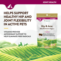 Présentation NaturVet Hip & Joint – friandises prêtes à servir.