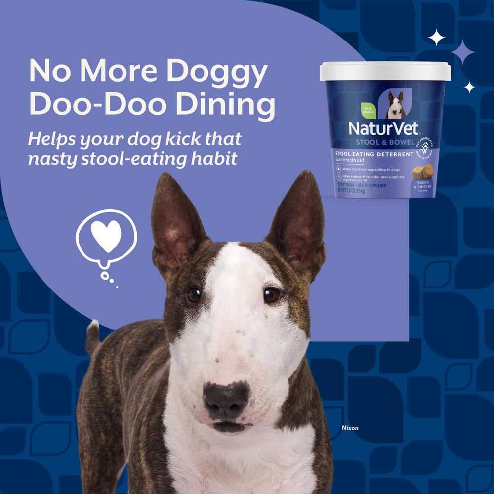 Enzymes et probiotiques dans NaturVet favorisent une digestion douce pour chien.