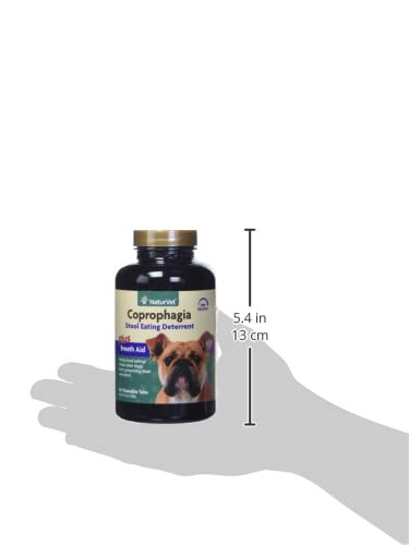 NaturVet enzymes et probiotiques pour digestion canine.