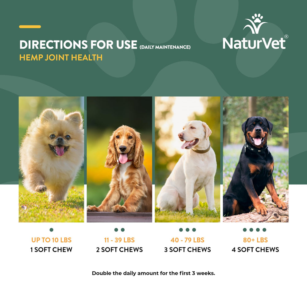 NaturVet fabriqué aux États-Unis selon les normes cGMP, assurance qualité et traçabilité.