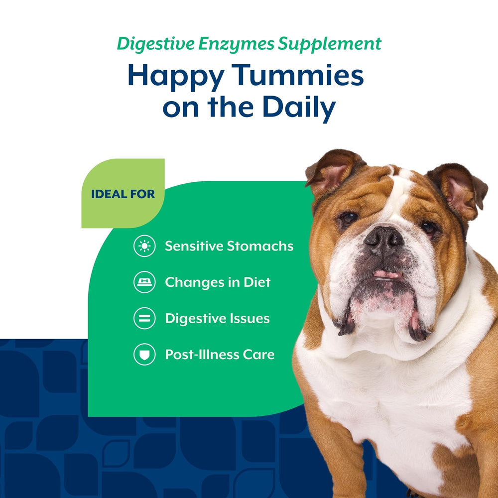 NaturVet friandises molles digestives – format pratique pour chien au quotidien.