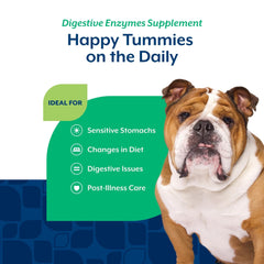 NaturVet friandises molles digestives – format pratique pour chien au quotidien.