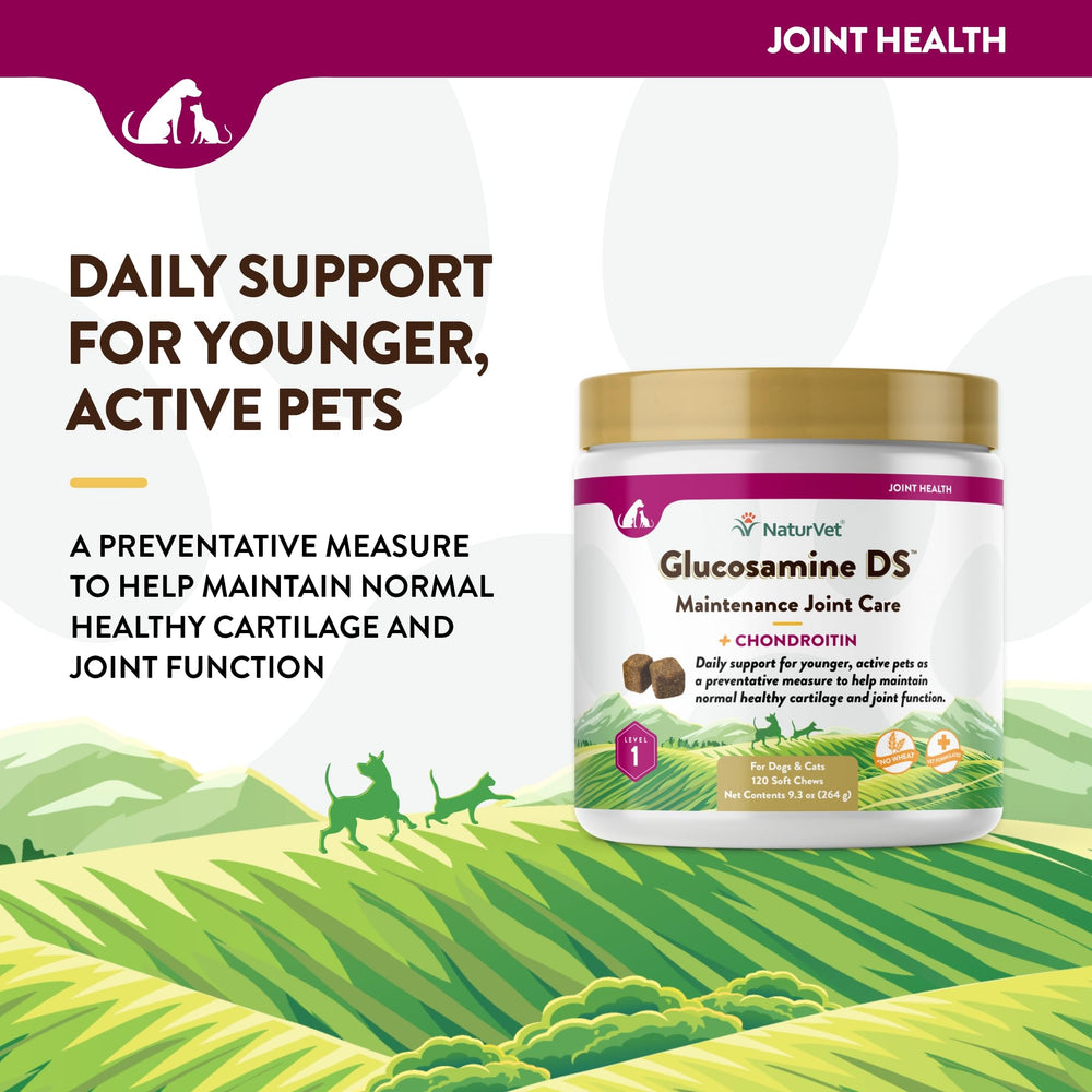 NaturVet Glucosamine DS Niveau 1 : friandises adaptees pour chiens et chats actifs
