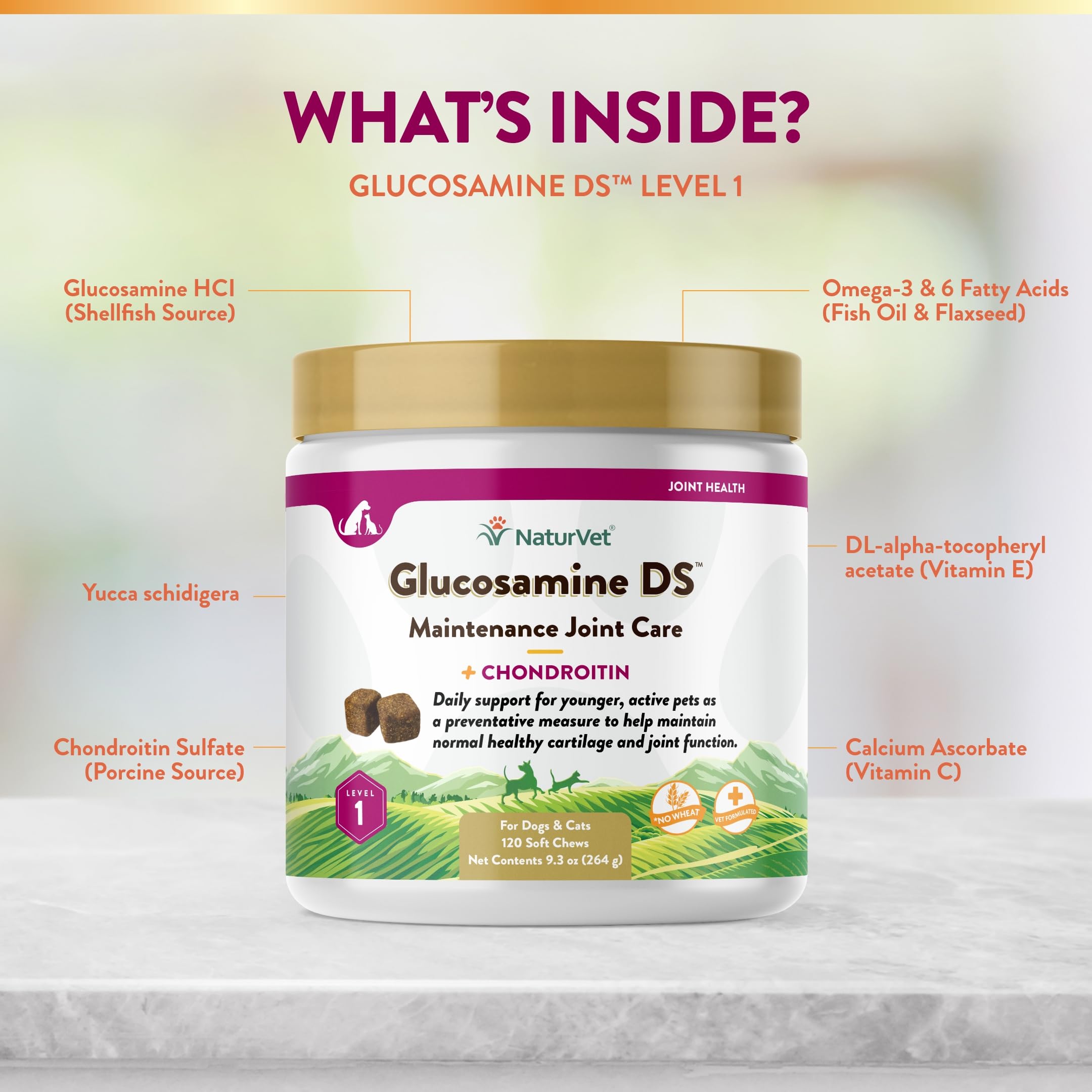 NaturVet Glucosamine DS Niveau 1 : formule antioxydante pour les tissus conjonctifs