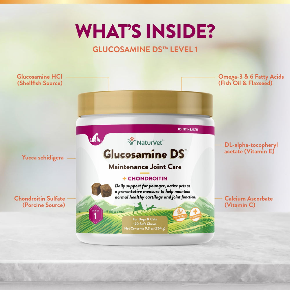 NaturVet Glucosamine DS Niveau 1 : formule antioxydante pour les tissus conjonctifs