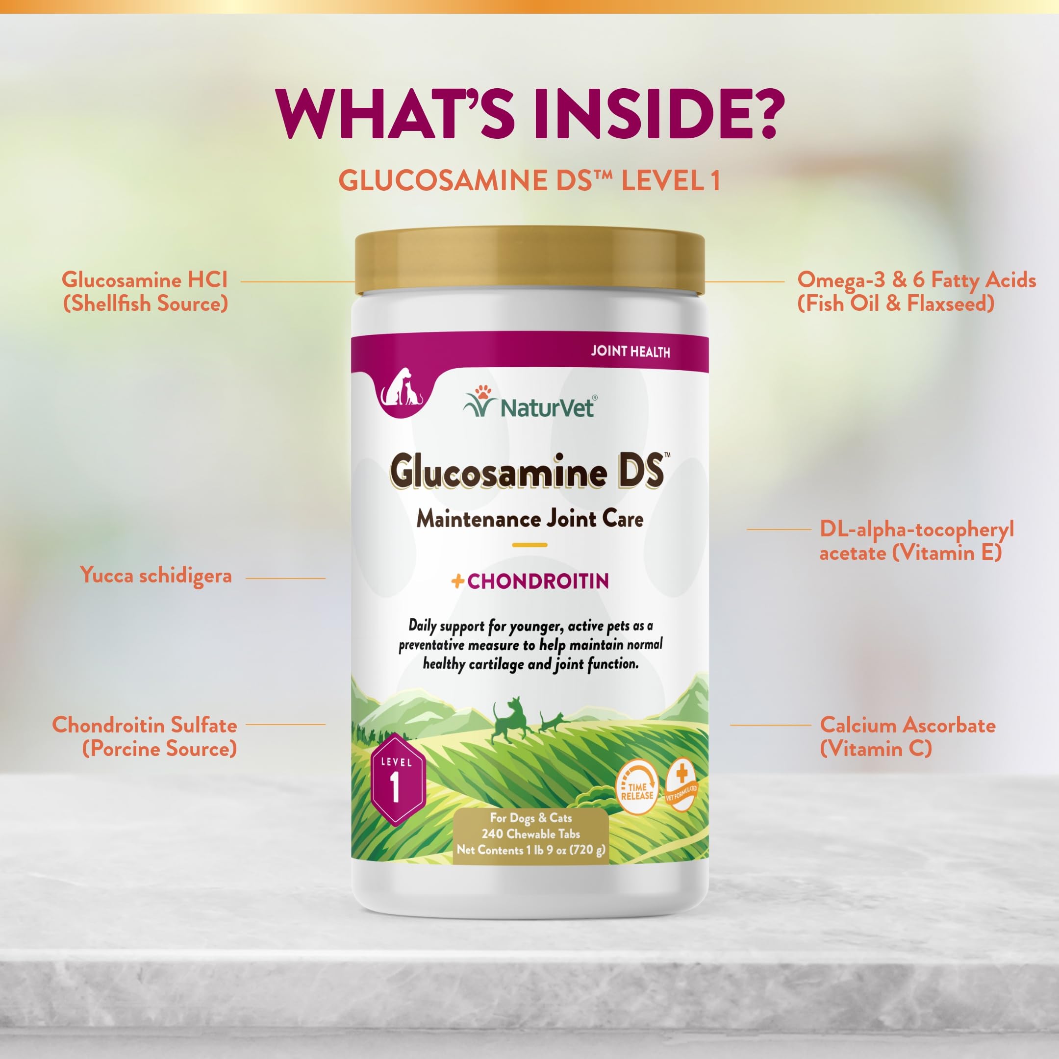 NaturVet Glucosamine DS – composition chondroitine-glucosamine.