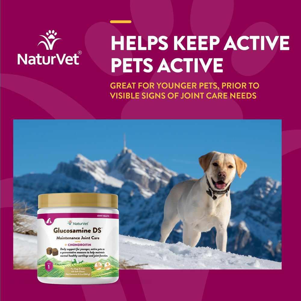NaturVet Glucosamine DS Niveau 1 : ingredients-clefs-pour-le-soutien-du-cartilage