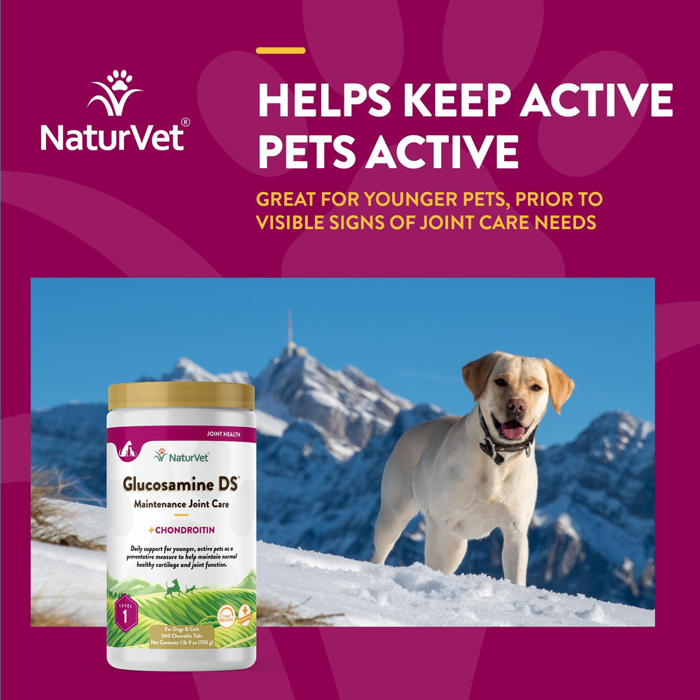 NaturVet Glucosamine DS – préparation quotidienne compacte.