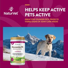 NaturVet Glucosamine DS – préparation quotidienne compacte.