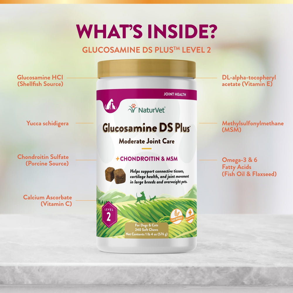NaturVet Glucosamine DS Plus – arôme appétissant pour une expérience agréable lors de l’administration.