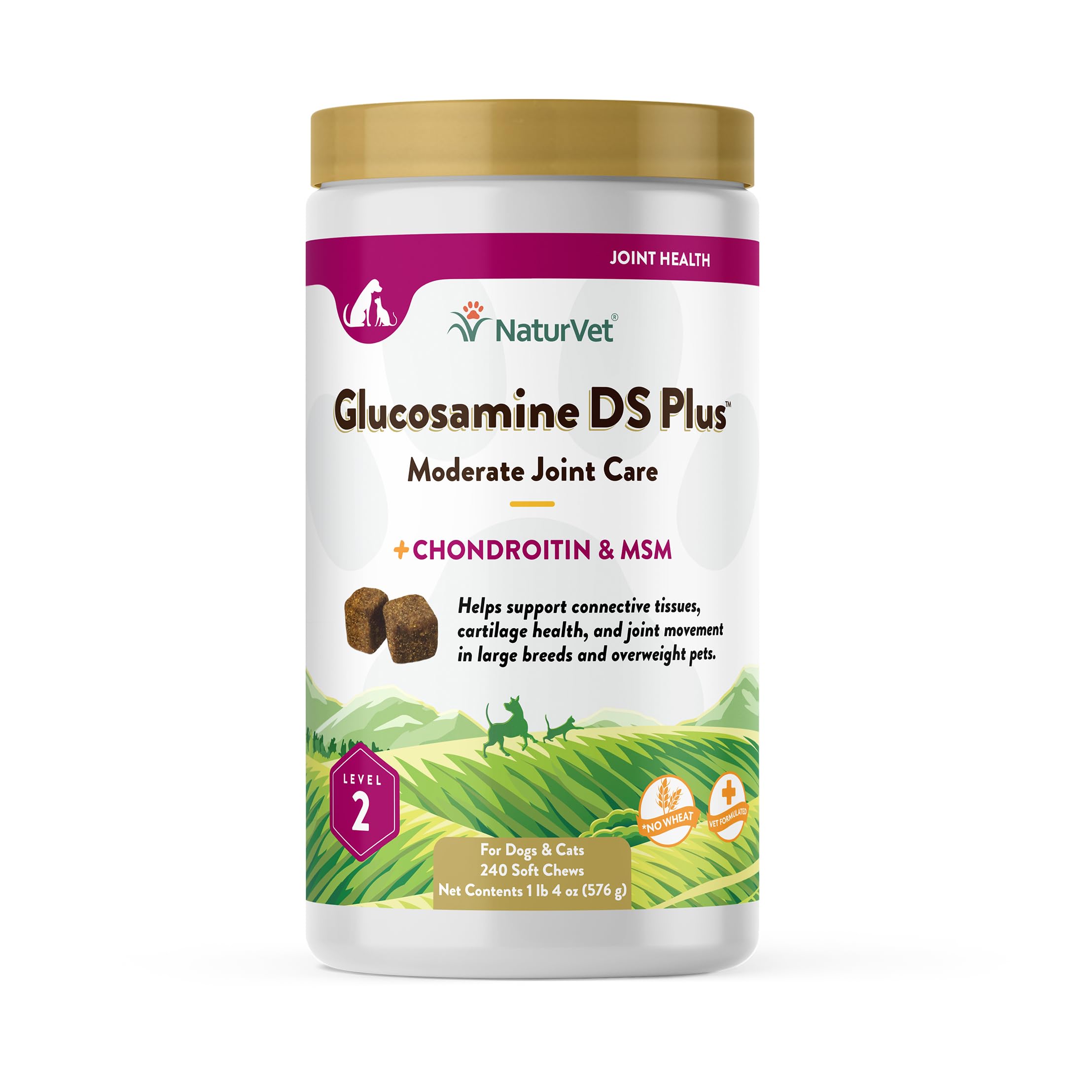 NaturVet Glucosamine DS Plus – boîte pratique pour usage quotidien.