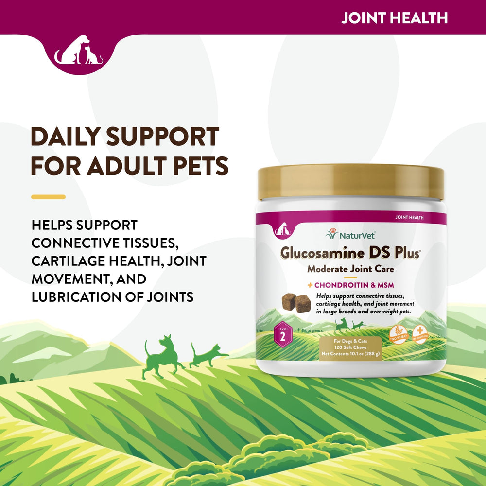 NaturVet Glucosamine DS Plus – bouteille et dosage, utilisation pratique.