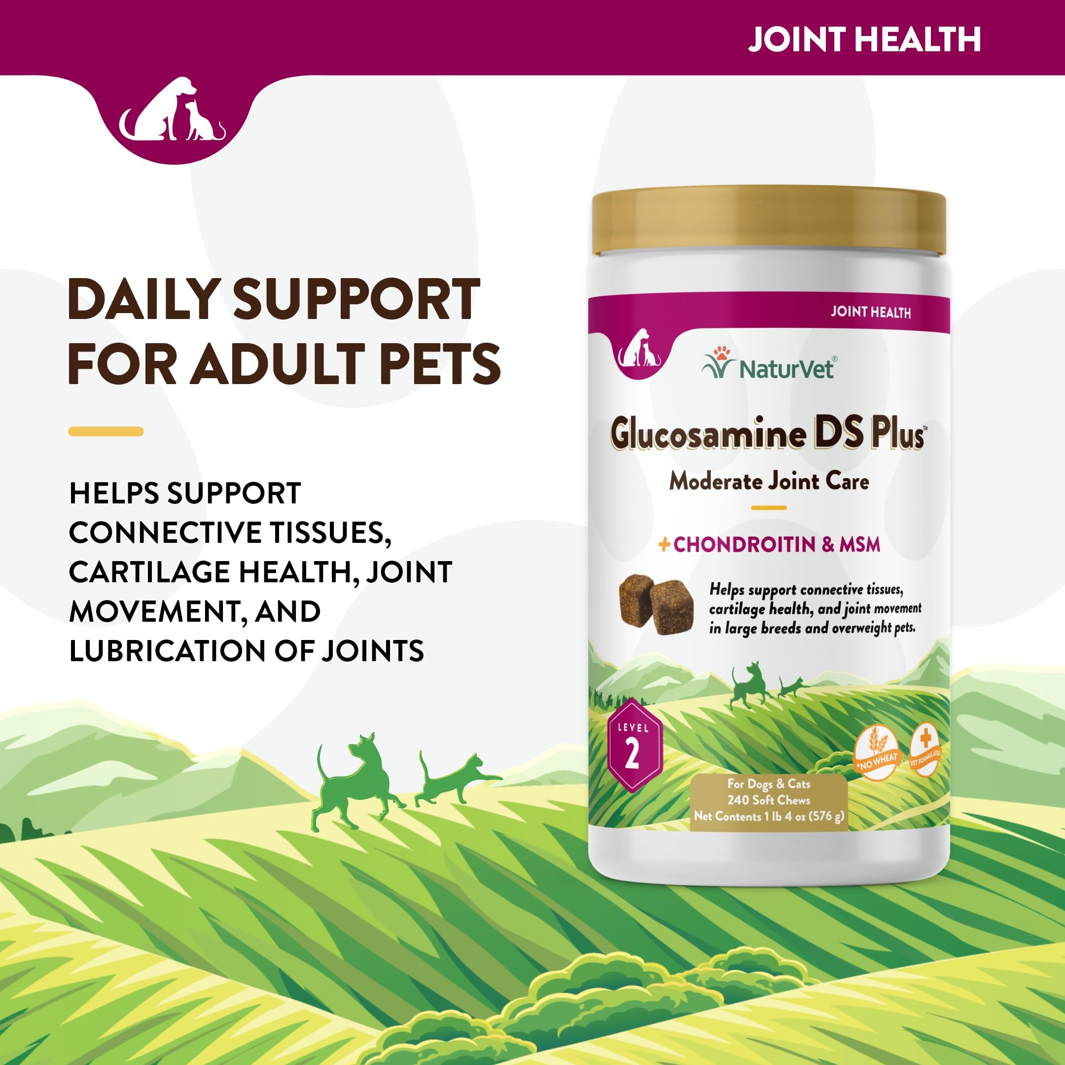 NaturVet Glucosamine DS Plus – étiquette claire affichant les ingrédients actifs.