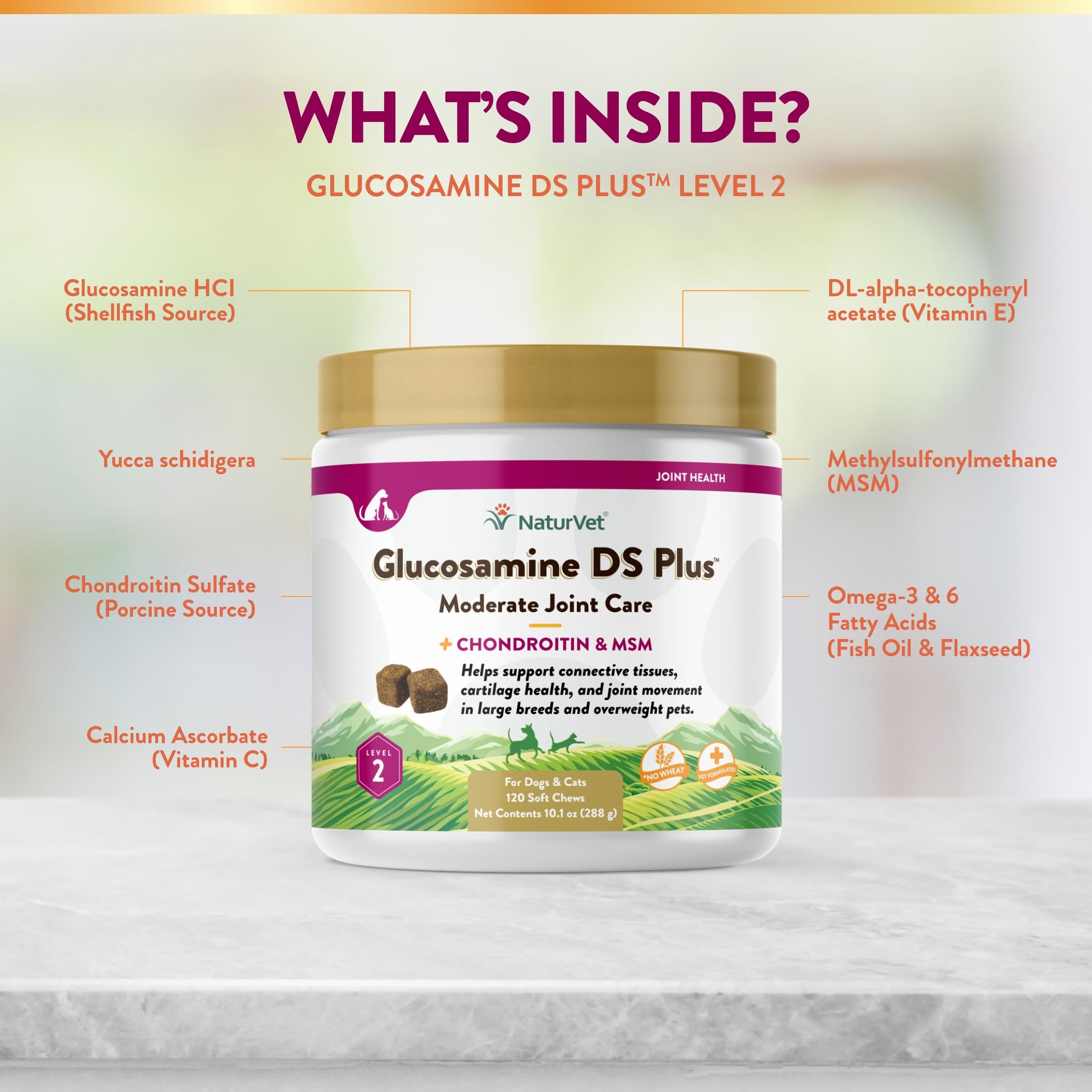 NaturVet Glucosamine DS Plus – MSM et chondroïtine, soutien des articulations.