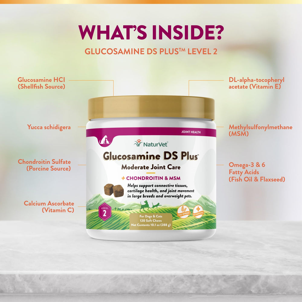 NaturVet Glucosamine DS Plus – MSM et chondroïtine, soutien des articulations.