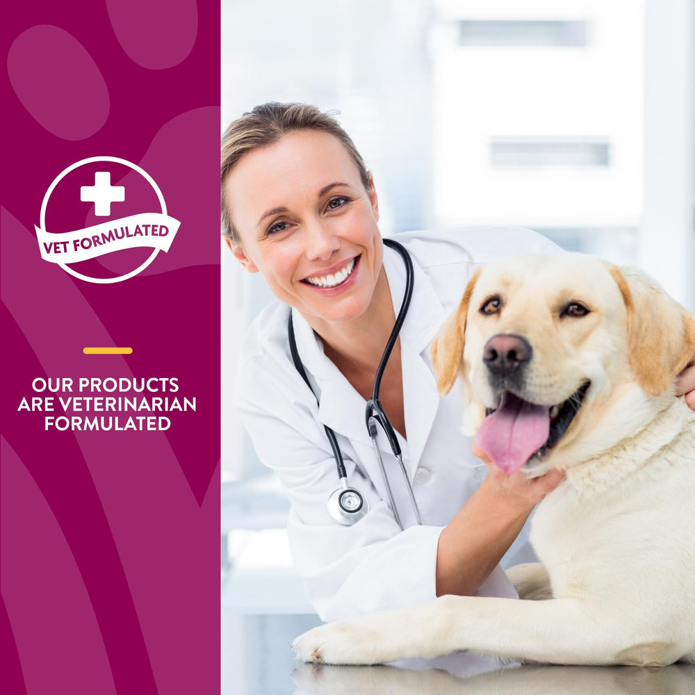 NaturVet Glucosamine DS Plus – sans blé, option adaptée pour certains régimes.