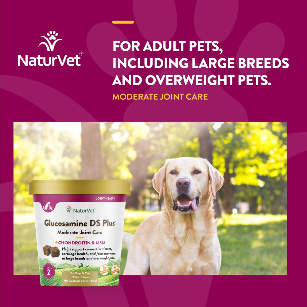 NaturVet Glucosamine DS Plus – formulation vétérinaire, antioxydants pour les cellules.