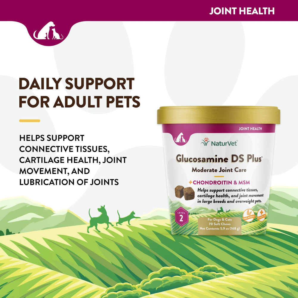 NaturVet Glucosamine DS Plus – articulation et hanches, promesse d'une flexibilité accrue.