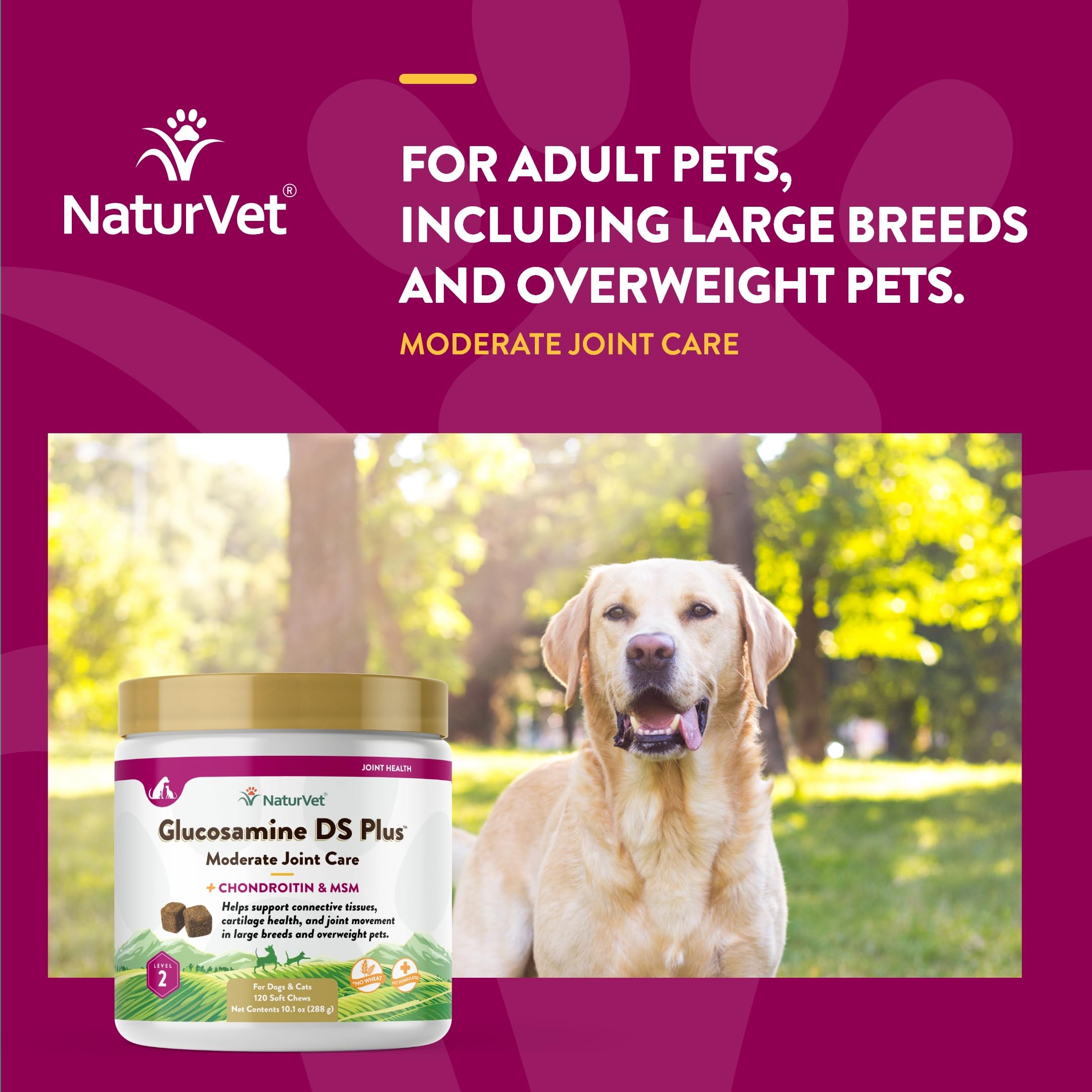 NaturVet Glucosamine DS Plus – usage quotidien facilité pour chiens et chats actifs.