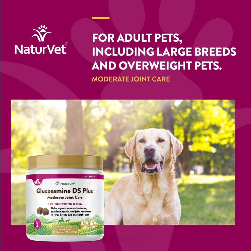 NaturVet Glucosamine DS Plus – usage quotidien facilité pour chiens et chats actifs.
