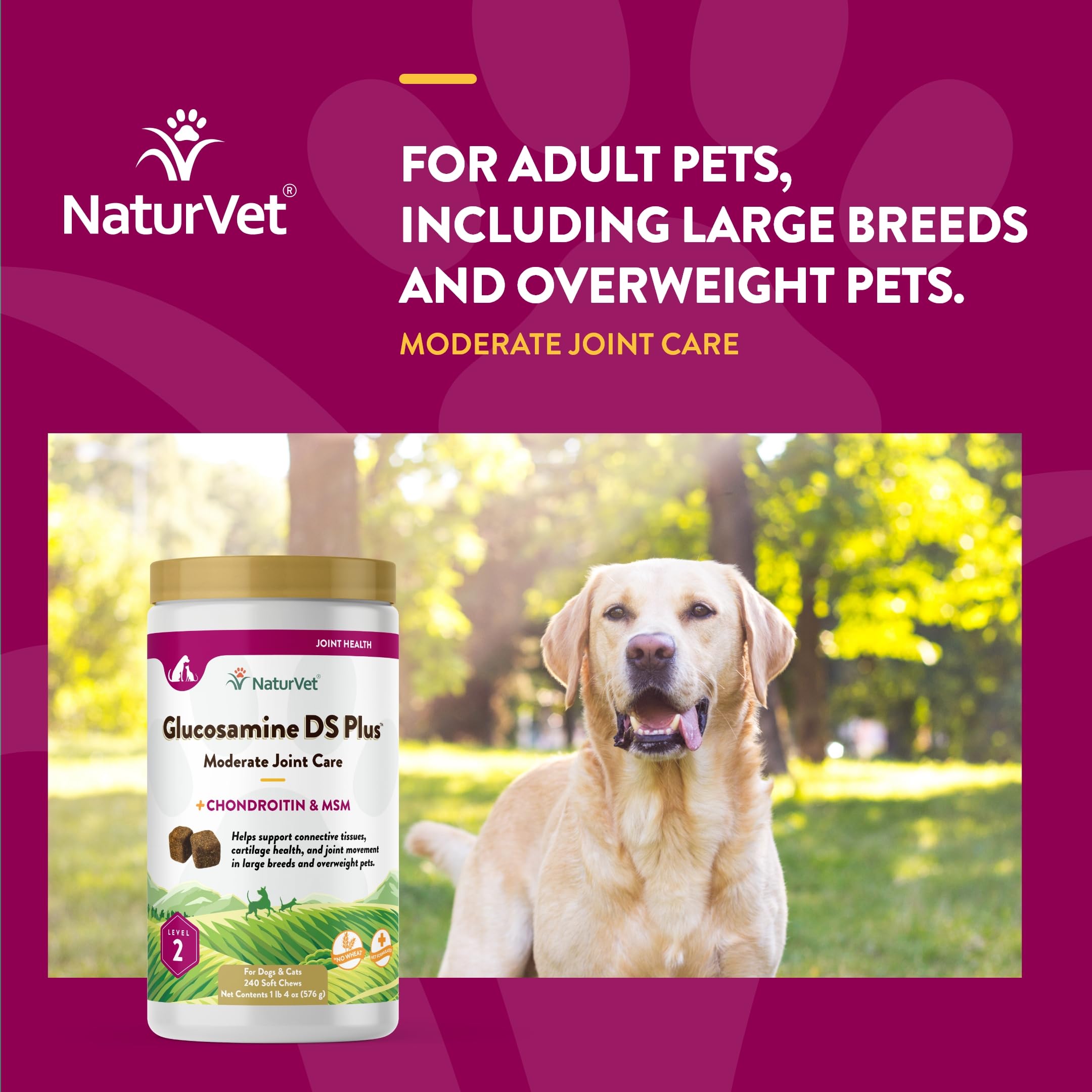 NaturVet Glucosamine DS Plus – idéal pour chiens et chats adultes, soutien possible à l’activité quotidienne.