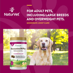 NaturVet Glucosamine DS Plus – idéal pour chiens et chats adultes, soutien possible à l’activité quotidienne.