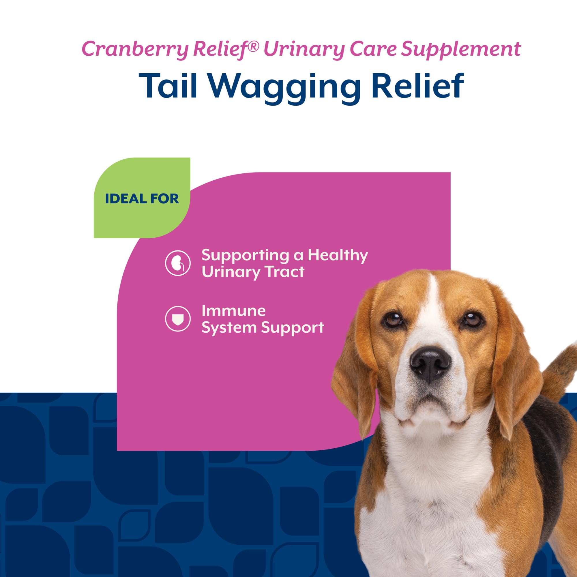 NaturVet gommes pour chiens – friandises molles attrayantes pour le quotidien
