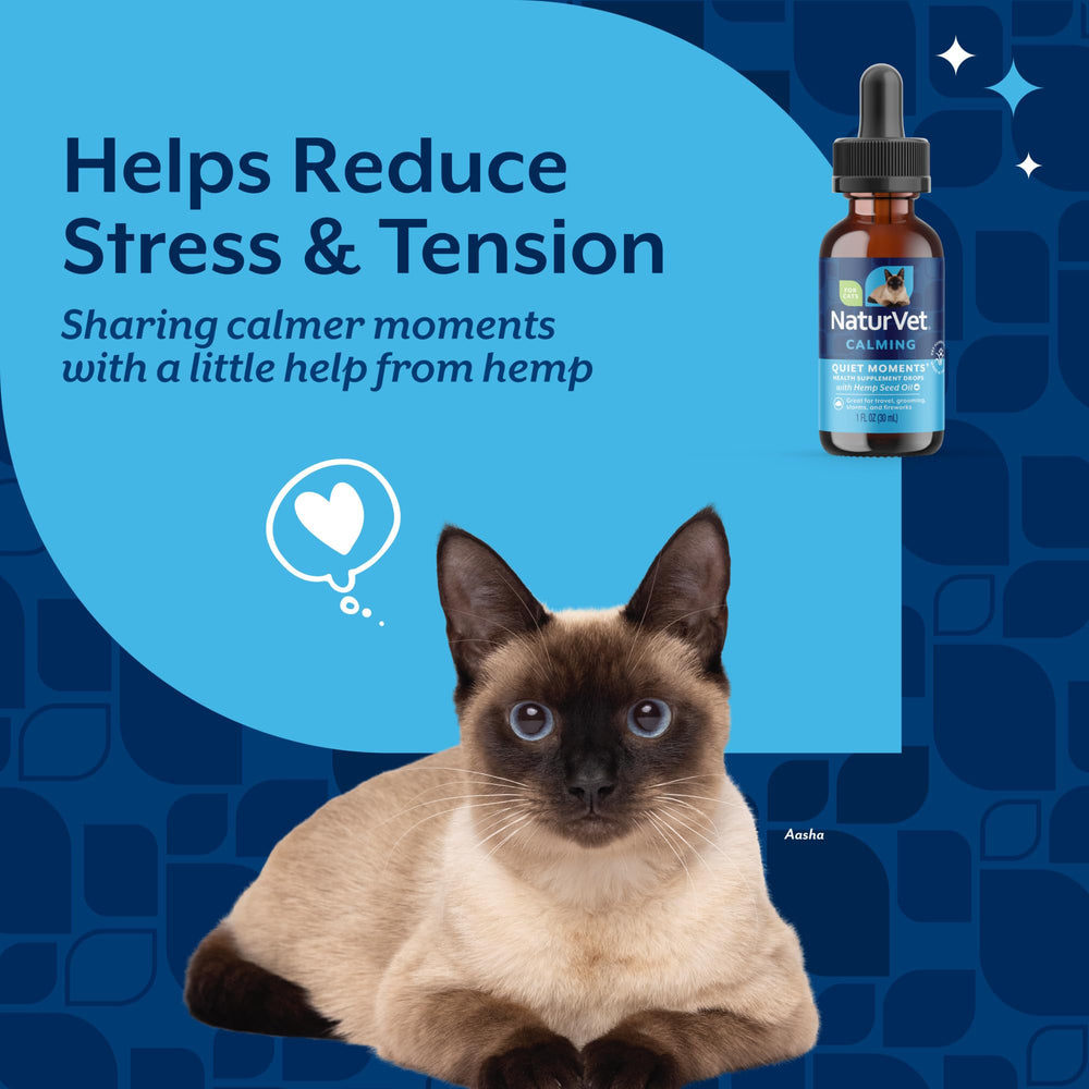 NaturVet Gouttes chanvre chat avec lavande et valériane pour calmer les sens.
