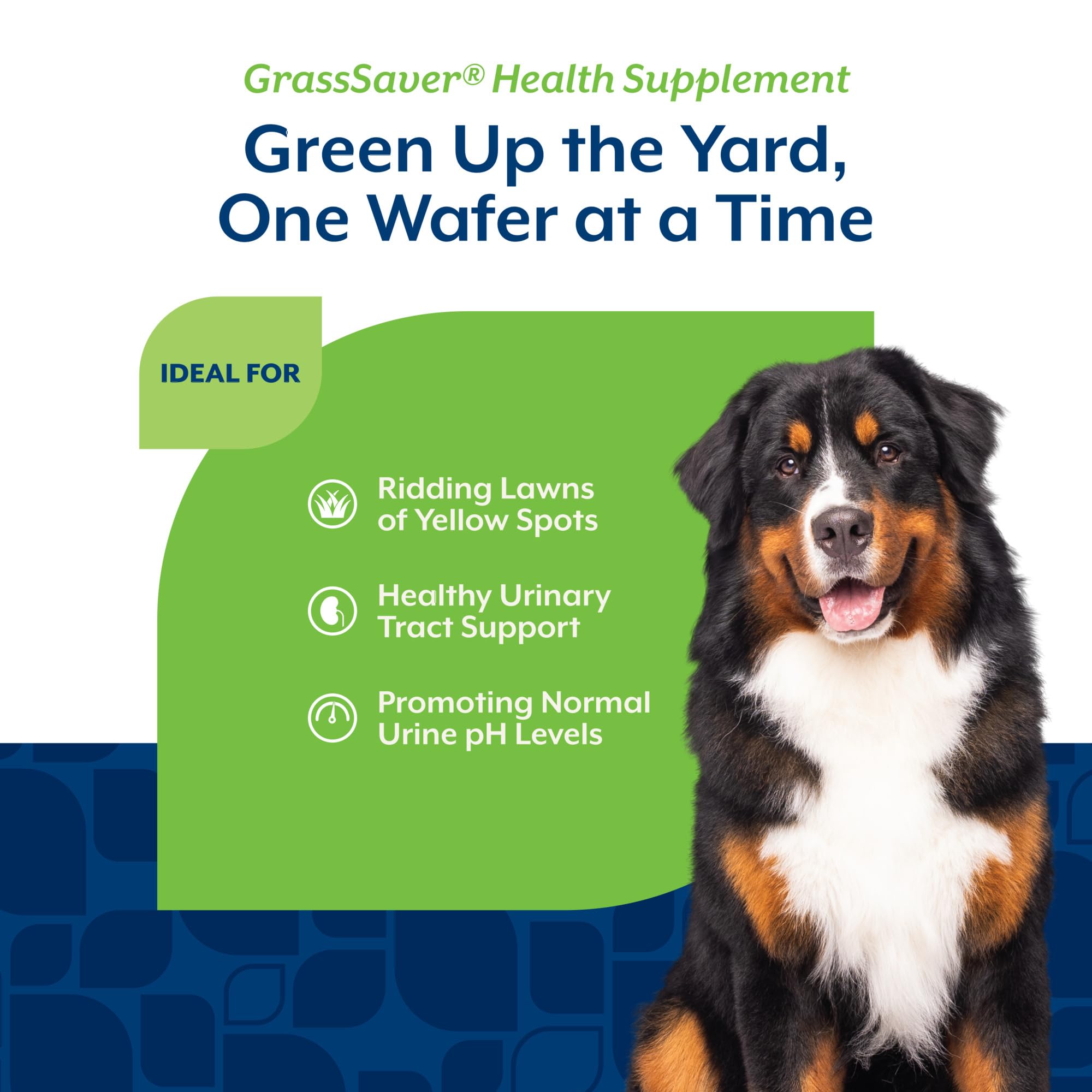 NaturVet GrassSaver Wafers – pelouse plus verte autour des zones d'urine.