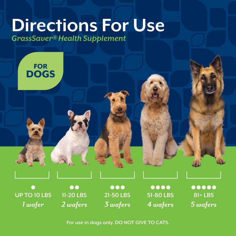 NaturVet GrassSaver Wafers – sans gluten pour chiens sensibles.
