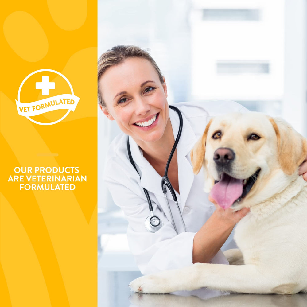 Chien actif bénéficiant de GrassSaver pour sa nutrition