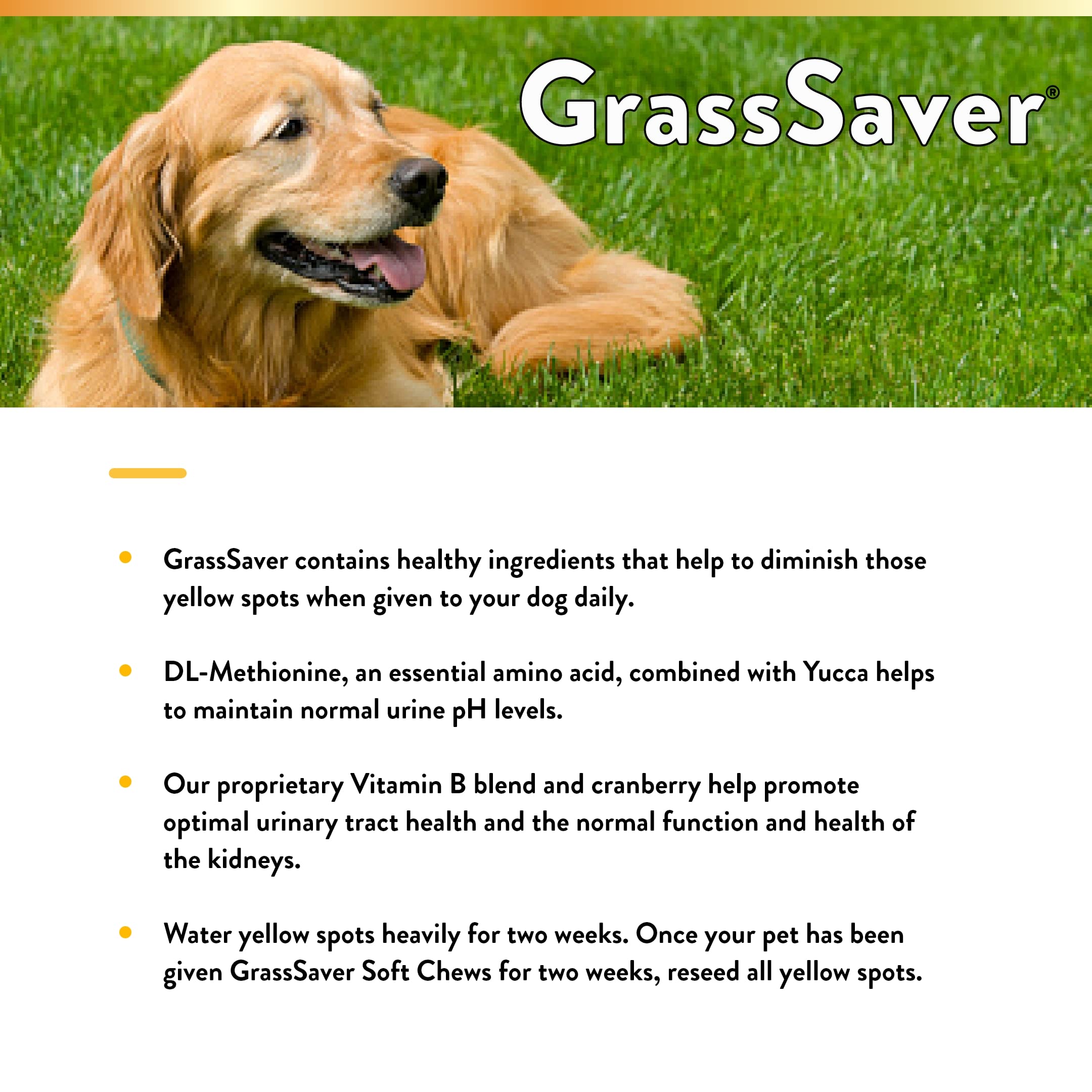 Friandises GrassSaver au goût doux pour chiens