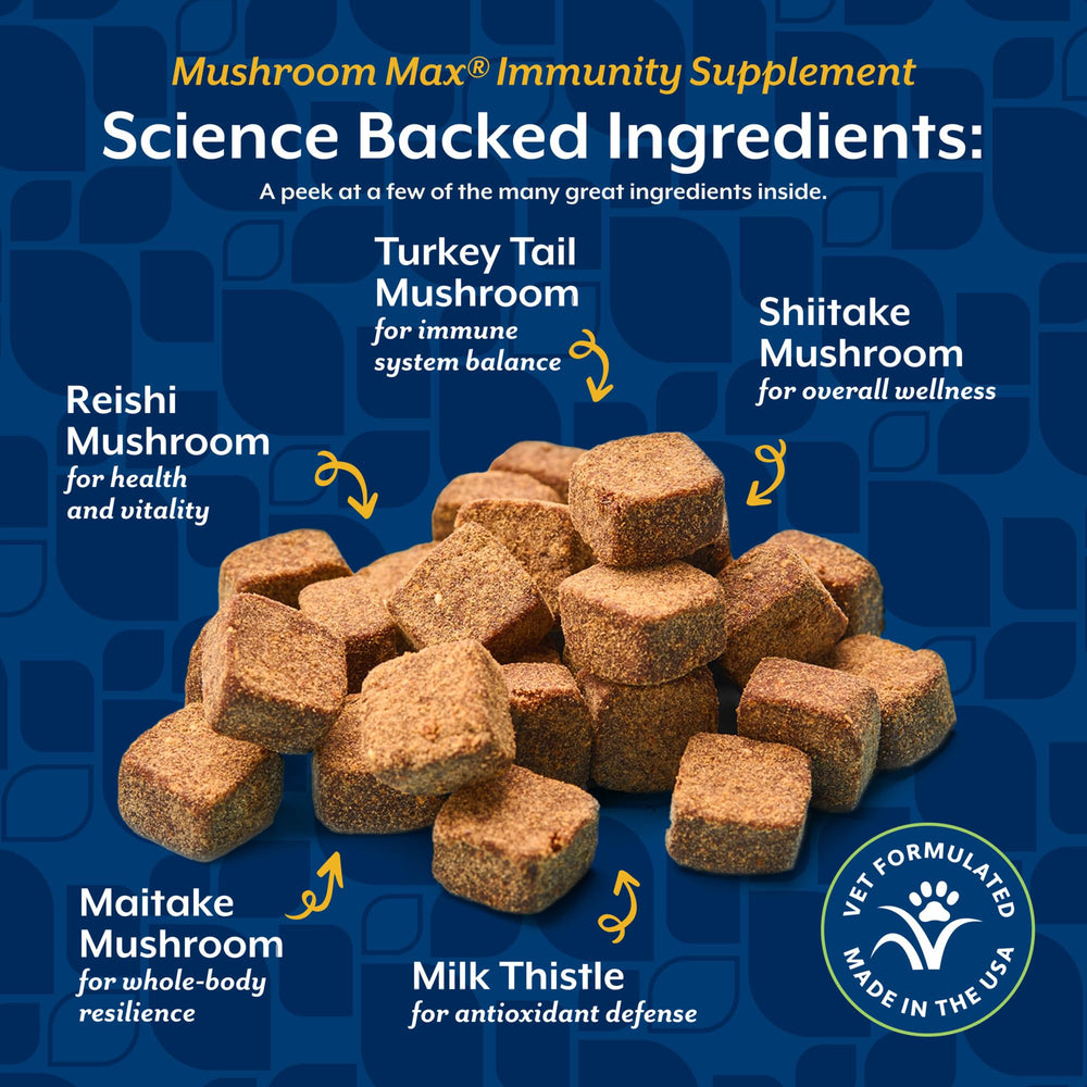 NaturVet Mushroom Max – etiquette ingrédients, formule veterinaire et sans gluten.