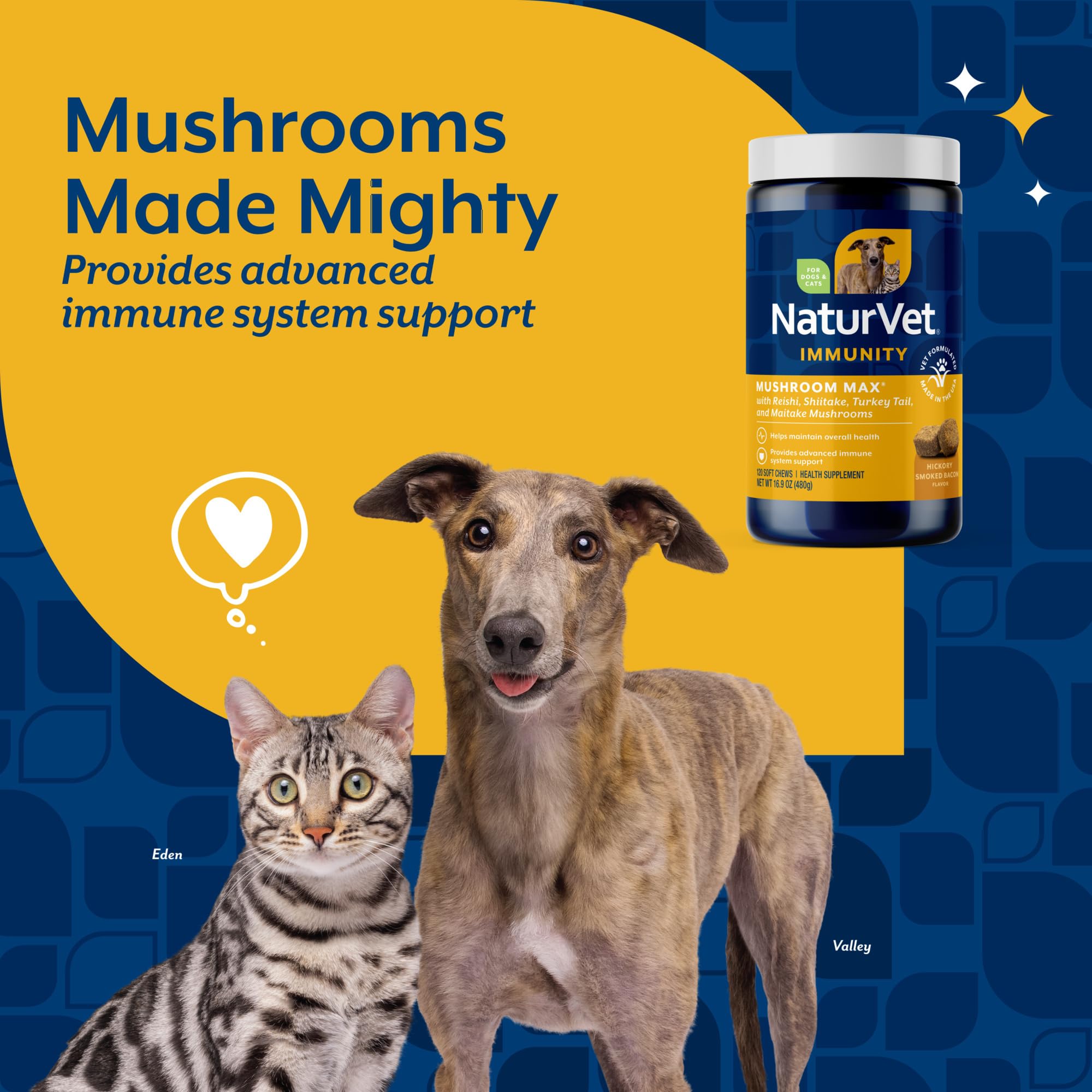 NaturVet Mushroom Max – reishi en gros plan, soutien quotidien possible.
