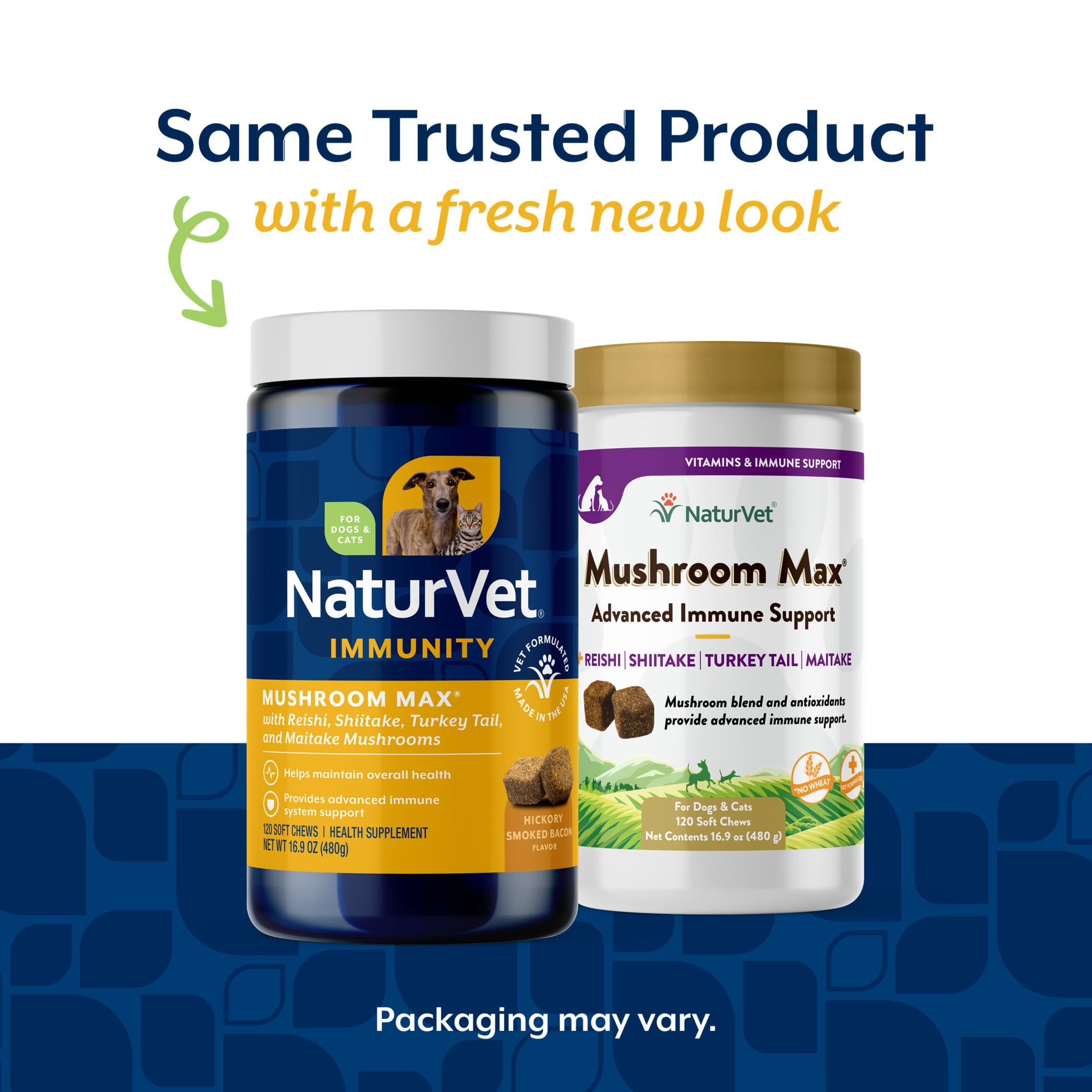 NaturVet Mushroom Max – shiitake en gros plan, antioxydants potentiels pour la vitalité.