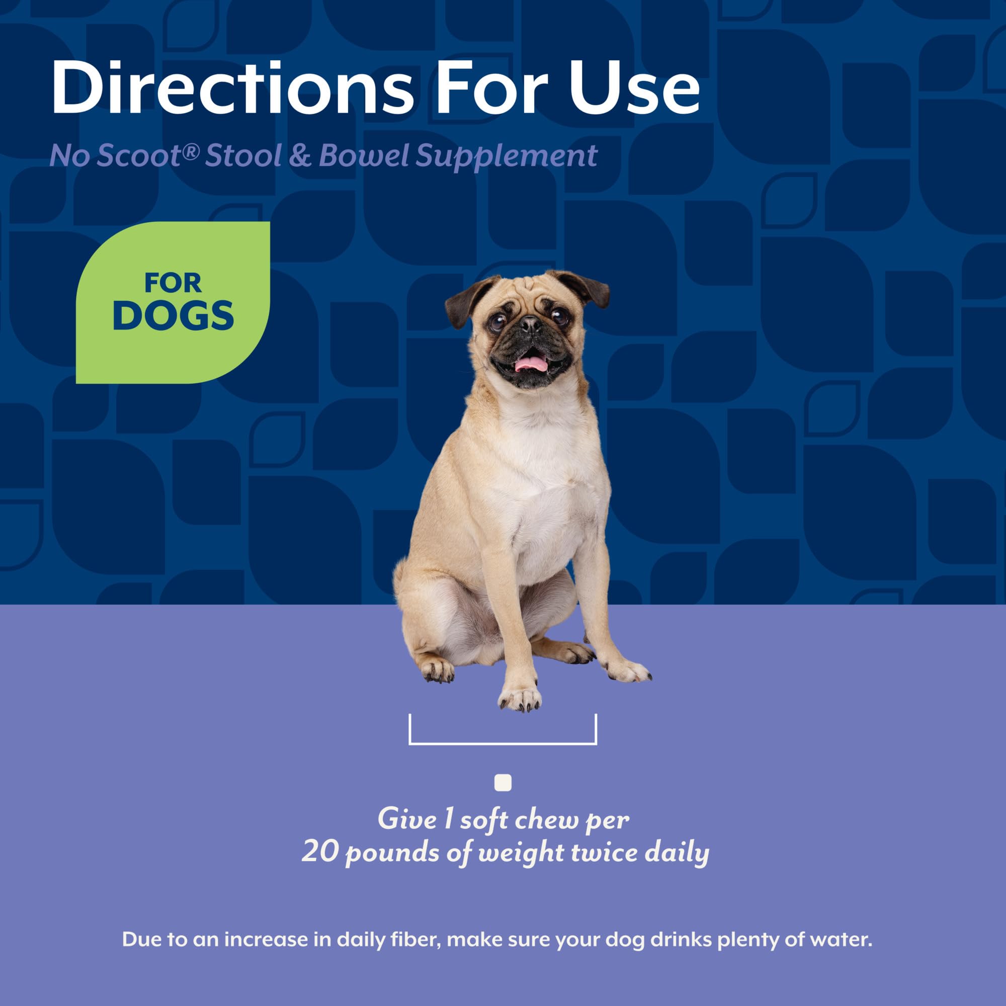 NaturVet No Scoot – chien heureux dans la cour grâce à une routine de compléments.