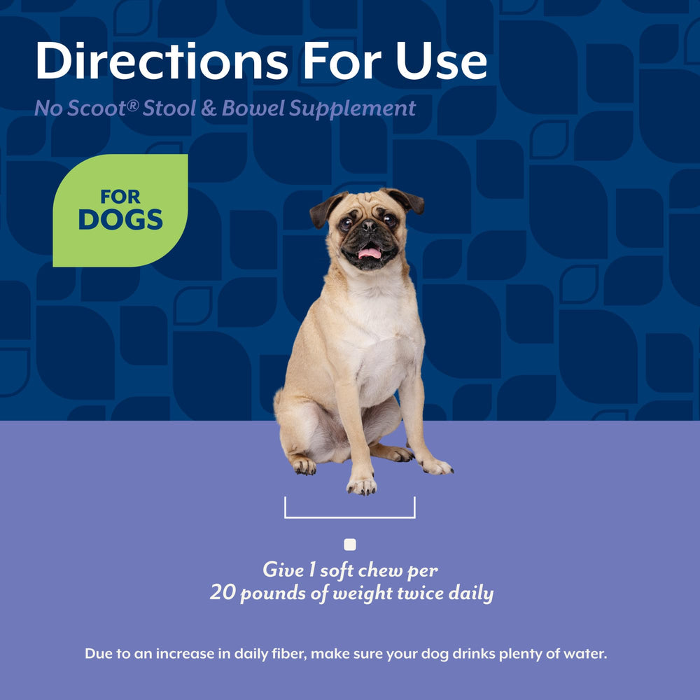 NaturVet No Scoot – chien heureux dans la cour grâce à une routine de compléments.