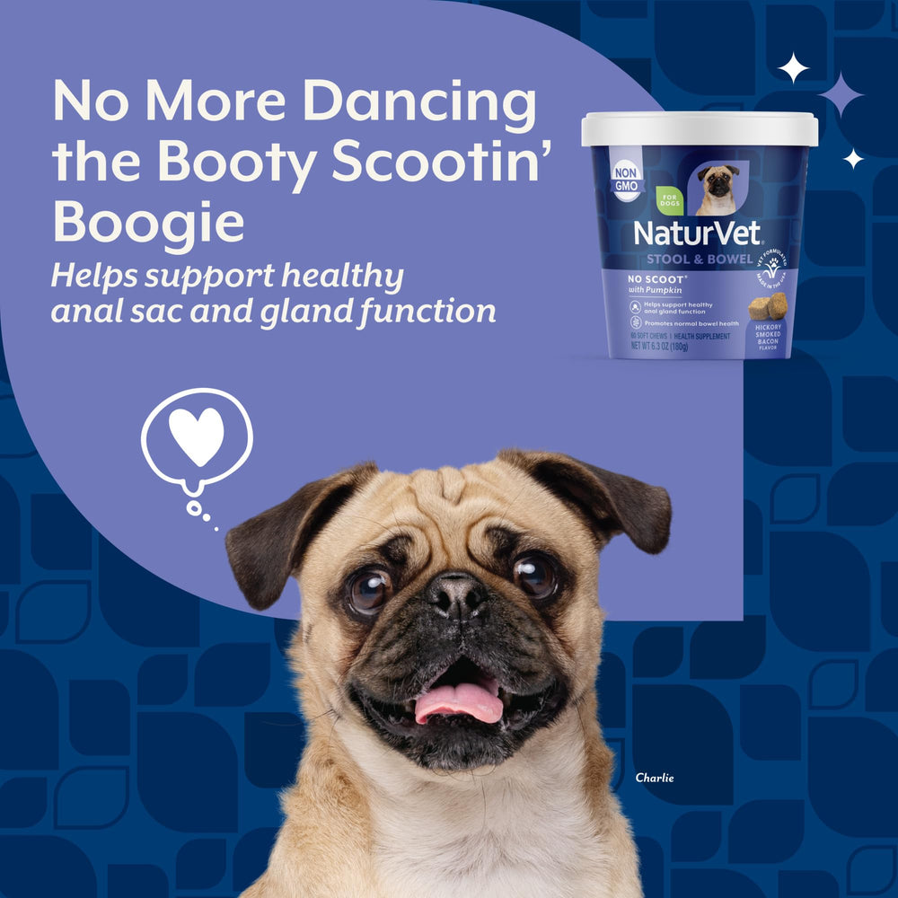 NaturVet No Scoot psyllium-husk: fibre soluble pour selles plus faciles