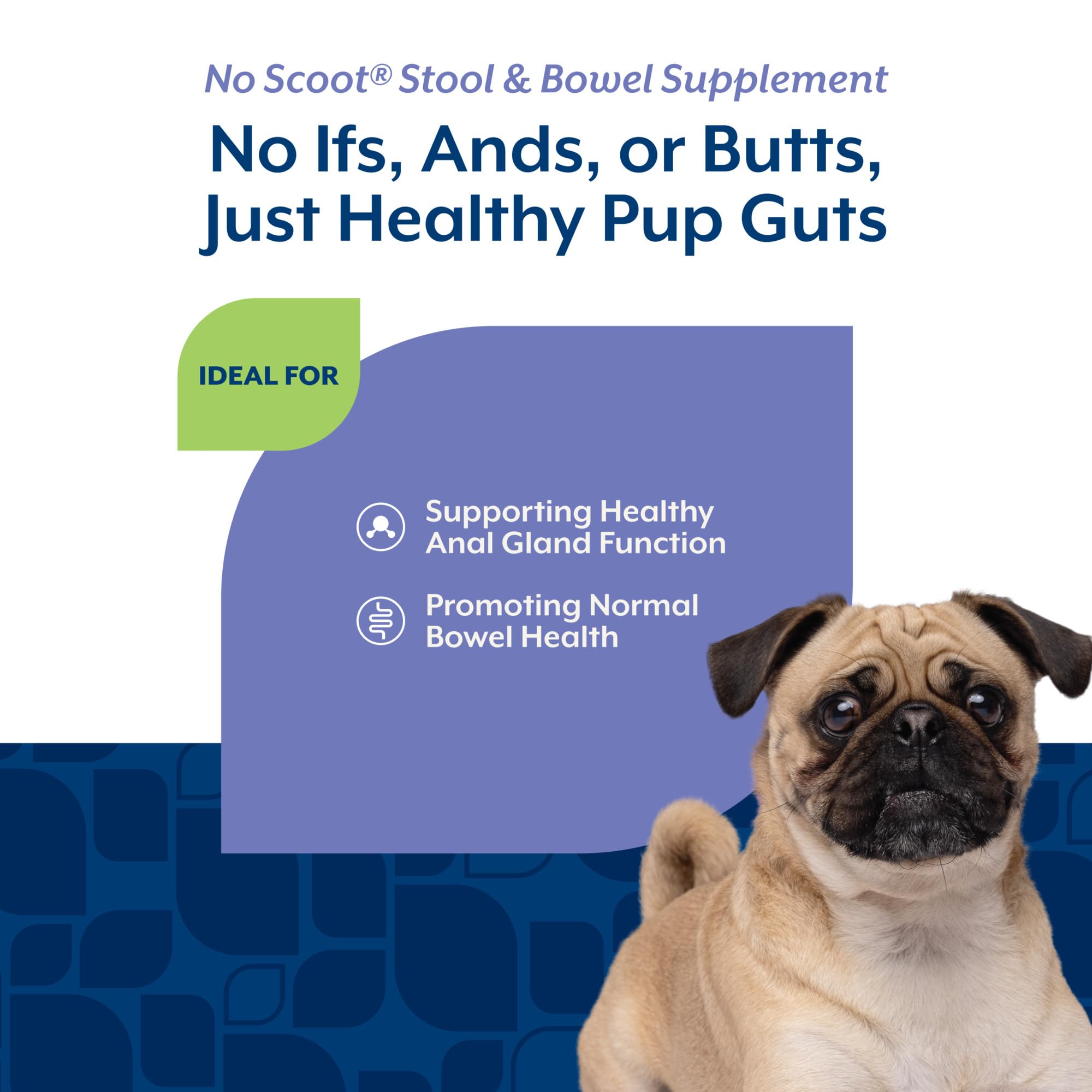 NaturVet No Scoot – pulpe de betterave, fibre naturelle pour le transit et l’alimentation.