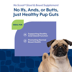 NaturVet No Scoot – pulpe de betterave, fibre naturelle pour le transit et l’alimentation.